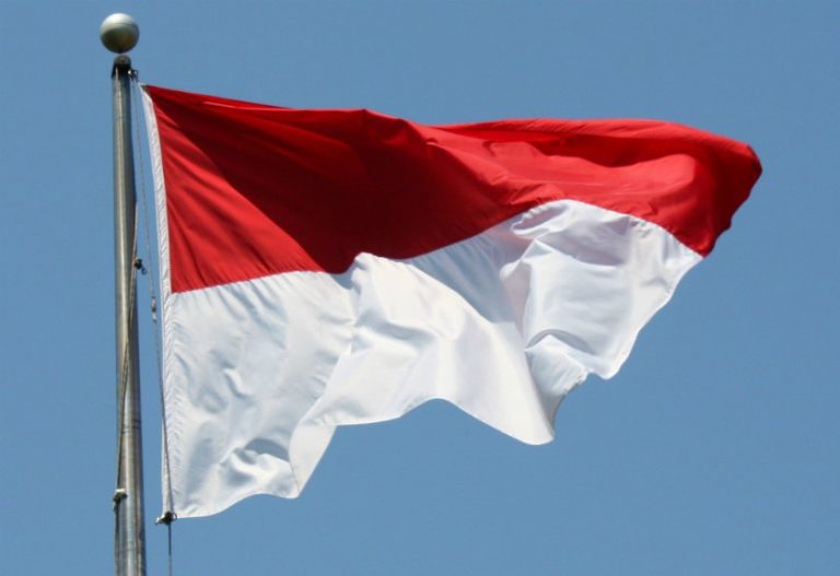 Tujuan Negara Secara Umum dan Menurut Para Ahli | Tujuan Negara Indonesia