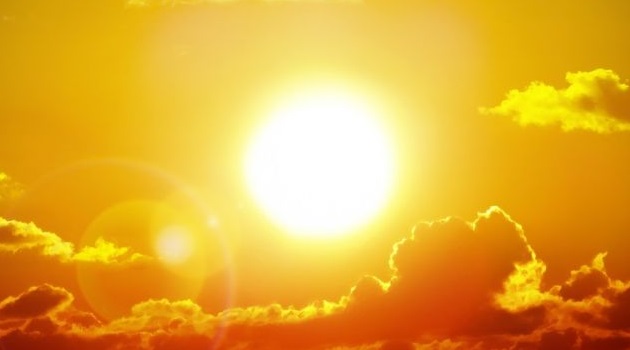 Manfaat Energi Matahari bagi Manusia, Tumbuhan, Dan Hewan