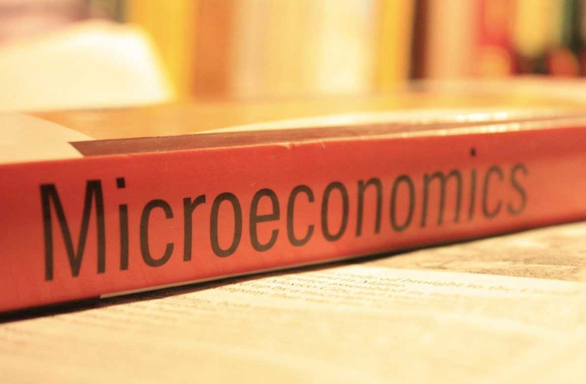 Ruang Lingkup Ekonomi Mikro dan Cabang Ilmu yang Terkait di Dalamnya