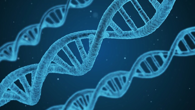 √ Perbedaan DNA dan RNA Berdasarkan Fungsinya