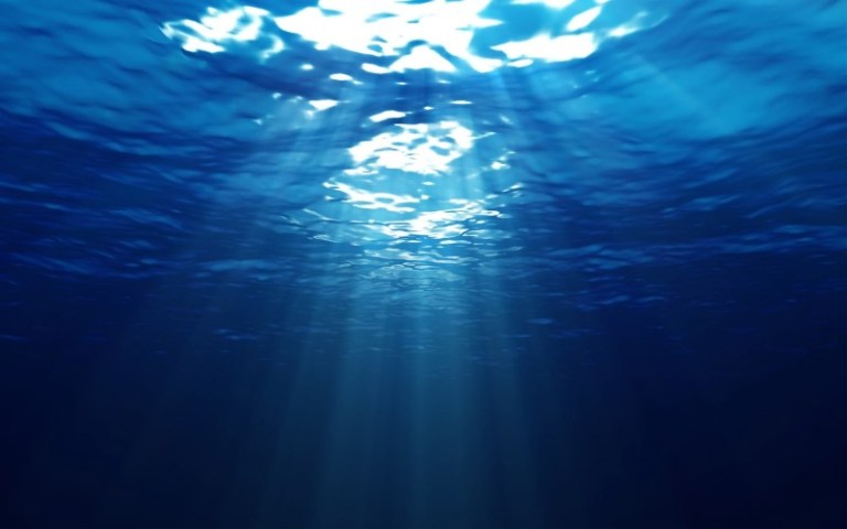 √ Definisi, Karakteristik, dan Kehidupan di Laut Dalam