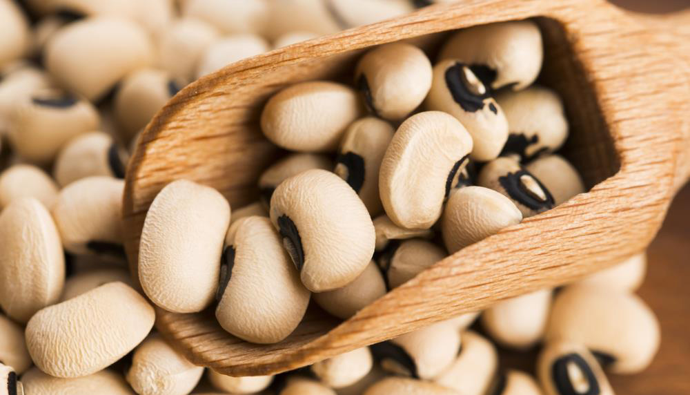 √ Manfaat Kacang Tunggak Beserta Kandungan Gizinya