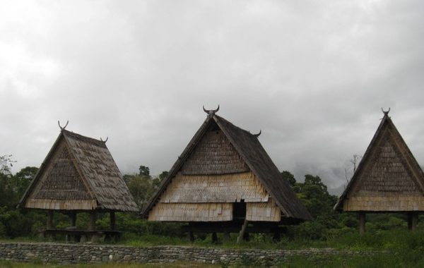 rumah adat sulawesi tengah
