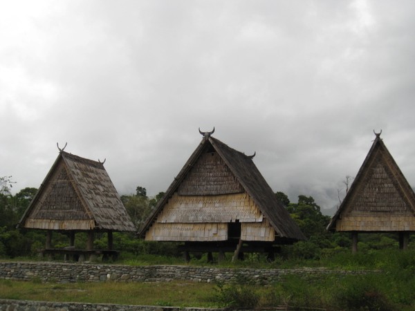 rumah adat sulawesi tengah